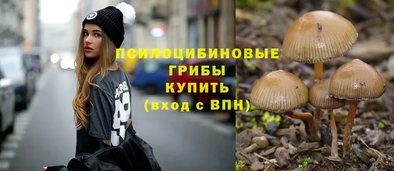 наркотики  Княгинино  Галлюциногенные грибы MAGIC MUSHROOMS 